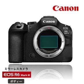 【Canon】 キヤノン ミラーレス カメラ EOS R6 MarkⅢ ボディ キャノン Mark3 家電_0060C