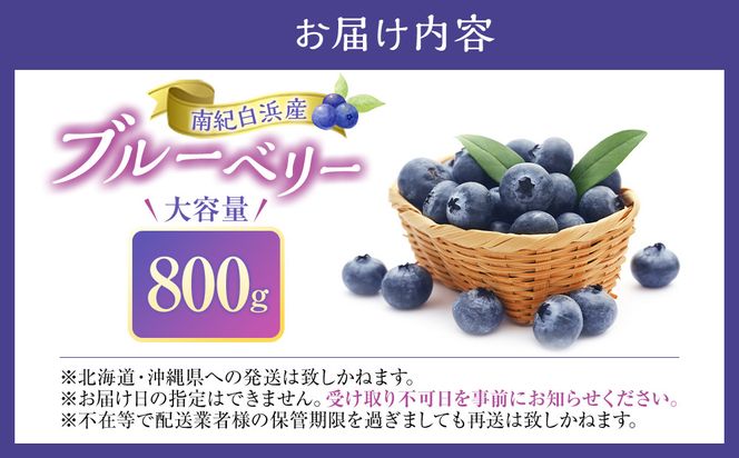 南紀白浜産ブルーベリー 800g 大容量 304018_Y009