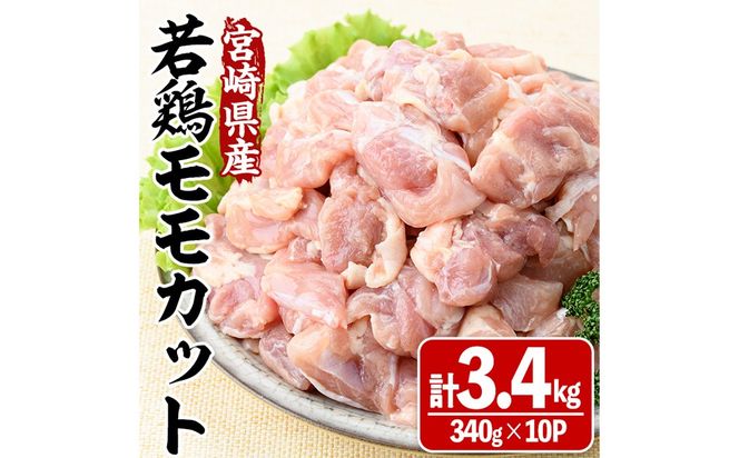 y{茧쒬z{茧Y{Jbg(v3.4kgE340g×10P)  {  Ƃ Ⓚ   Jbg 炠 {茧 쒬 yЃ}~XgAzyMA-09z