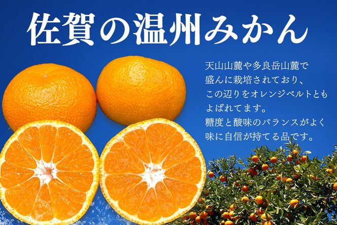 【令和7年11月下旬より発送】佐賀温州みかん(1箱 4.5kg)【フルーツ 佐賀 佐賀県産 早生みかん 温州みかん ギフト 贈答 プレゼント】 (H072107)