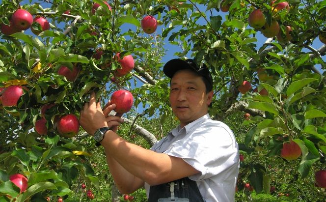 りんごジュース1000ml×2 ふじ2本セット 飲料類 果汁飲料 果物 ギフトセット 