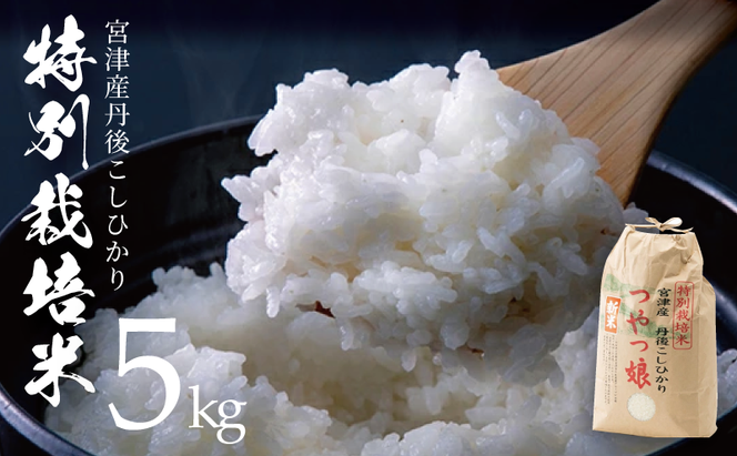 【令和7年産】【産地直送】特別栽培米 宮津産丹後コシヒカリ「つやっ娘」5kg 〈2025年10月以降順次発送〉 お米
