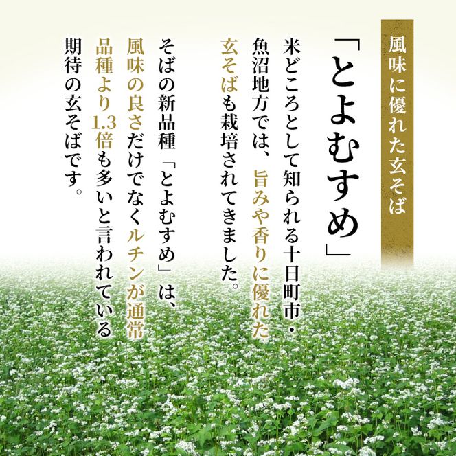 小嶋屋総本店 最高級乾麺魚沼手繰りそば5把つゆ付 麺類 蕎麦 へぎそば めんつゆ そばつゆ 