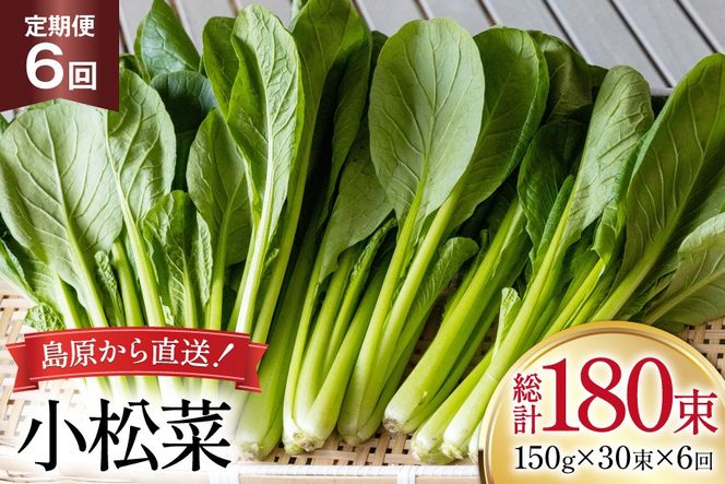 y茧szAI333  6  30 [  ܂ ₳ ① t c_ 茧 s ]