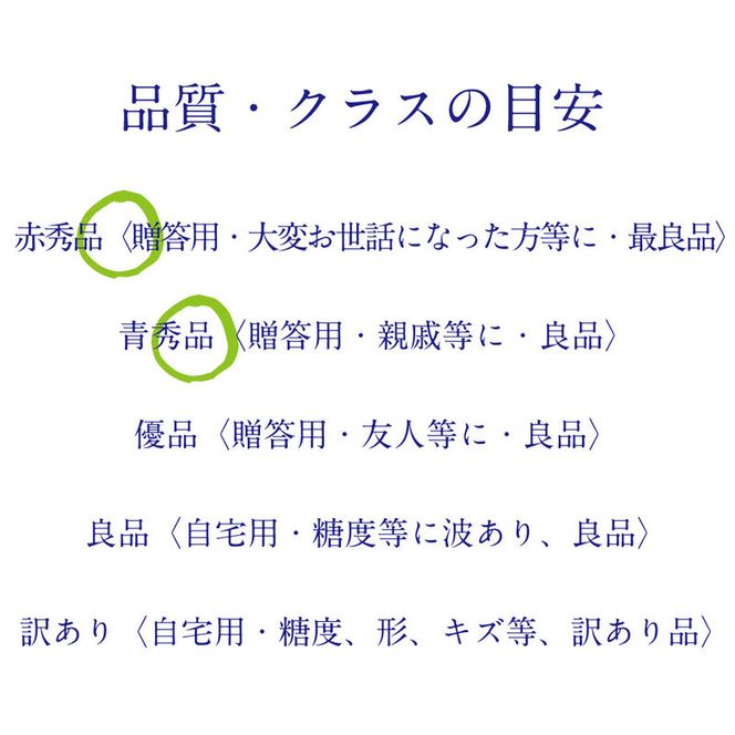 [HS]【定期便全2回】ぶどう先行予約9月・10月発送シャインマスカット晴王2kg箱（3～5房）ブドウ 葡萄  岡山県産 国産 フルーツ 果物 ギフト デザート 食後 酸味が少ない 産地直送