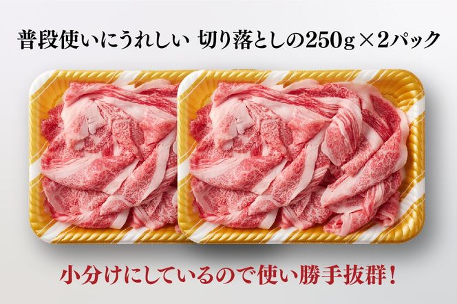 艶さし!【A4～A5】佐賀牛大判霜降り贅沢切り落とし 500g(250g×2P)【佐賀牛 切り落とし 霜降り 肩ロース 大判 一枚肉 薄切り 250g 小分け】(H112340)