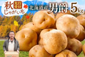 先行受付！ホクホク！しっとりなめらか！ 北海道産 男爵 いも じゃがいも 男爵いも 約5kg_S041-0005-2026