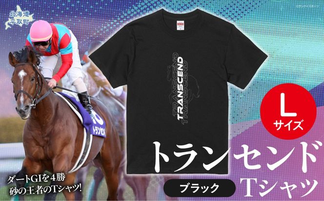【トランセンド】Ｔシャツ 選べる４サイズ【L】 BRTV150-3