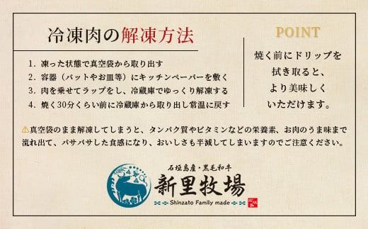 石垣島産 黒毛和牛 新里牛 職人手ごね生ハンバーグ (150g×6) 合計900g SZ-7