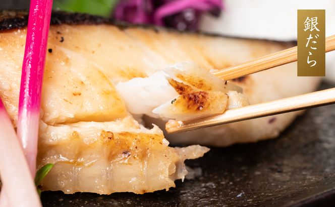 熊本の酒粕と東肥の赤酒でつくる肥後の海鮮粕漬け食べ比べセット おかず レシピ 焼き魚 海鮮 赤酒 酒粕 粕漬 サーモン 銀だら 鱈 サバ 鯖 魚 熊本 八代市 食べ比べ