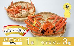 茹で越前ガニ【年末お届け】食通もうなる本場の味をぜひ、ご堪能ください。越前ガニ 約800g＋セイコガニ3杯 越前がに 越前かに 越前カニ カニ ボイルガニ 蟹 