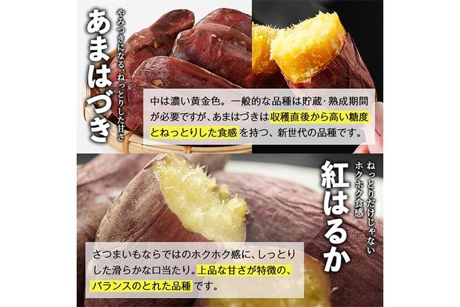 ＜先行予約受付中！2026年10月から順次発送予定＞冷凍 焼き芋 食べ比べ セット(あまはづき・紅はるか・500g×各2袋)冷凍 焼芋 焼き芋 やきいも さつまいも さつま芋 レンジ小分け おやつ 宮崎県 門川町【YO-24】【株式会社 陽】