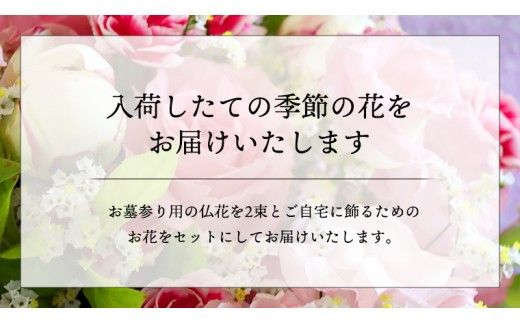 定期便 6か月 ＊ 仏花 セット S （ 束 ×2 ・ アレンジメント ） 定期 花 フラワー 生花 月命日 命日 墓前 お墓参り 供花 お悔やみ お供え [CT105ci]