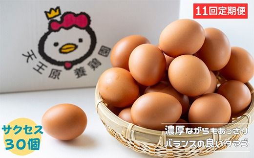 【定期便】 11回定期【天王原のたまご】 サクセス卵 30個入り 定期便 たまご 卵