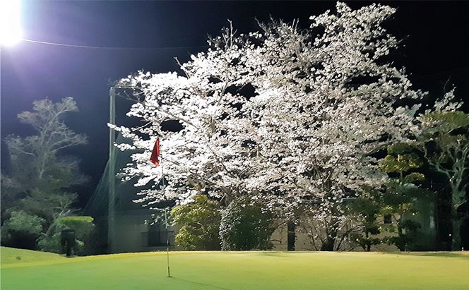 ゴルフ ショートホール 18H ペア ご利用券 × 焼肉レストラン大苑 焼肉定食 2名様 お食事券 赤磐市 コラボ 企画 みのるゴルフセンター山陽 大苑 岡山県