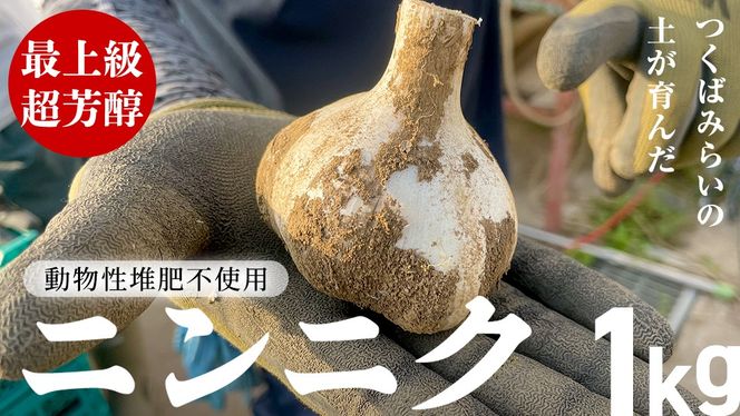 【先行予約】超芳醇 つくばみらいの土が育んだ 最上級ニンニク 1kg つくばみらい市（2026年6月より発送開始） ニンニク 新ニンニク 茨城県産 国産 無化学肥料 農薬不使用 化学肥料不使用 [FA02-NT]
