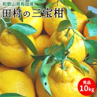 U6237n_田村の三宝柑（葉付き）秀品 約10kg 和歌山県有田産