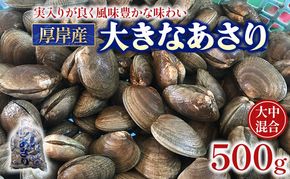 北海道 厚岸産 あさり 500g×1パック (合計500g) 大中混合 アサリ 魚貝 海 美味しい 栄養 旨み 砂出し 水洗い 冷蔵 冷凍保存可能 便利