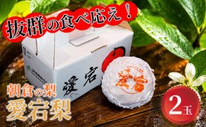 梨 愛宕 2玉×1 筑前あさくら農協 配送不可 離島 ナシ 果物 フルーツ 先行予約 