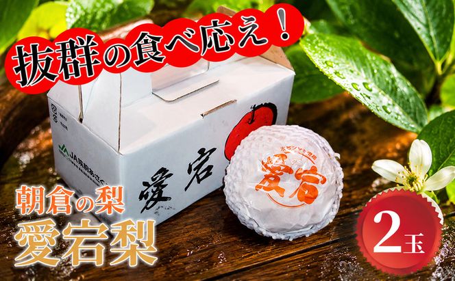 梨 愛宕 2玉×1 筑前あさくら農協 配送不可 離島 ナシ 果物 フルーツ 先行予約 
