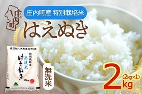 【令和8年産】特別栽培米 はえぬき 無洗米 2kg 2kg×1袋 庄内町産 余目産 余目町農協 あまるめ ブランド米 米 国産 単一原料米 山形 庄内平野