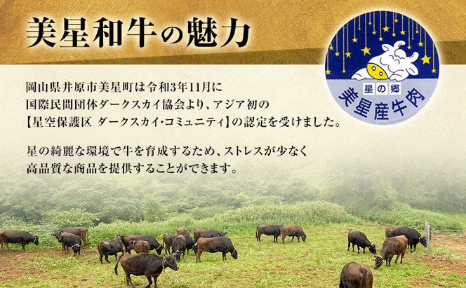 【定期便 2回 隔月で届く】美星和牛 サーロインステーキ 各回約400g（約200g×2枚） 牛肉 岡山県 里庄町 送料無料