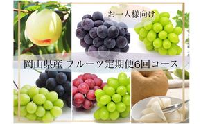 果物 2027年 先行予約 晴れの国 岡山 の フルーツ 定期便 6回コース ＜お一人様向け＞岡山県産 桃 もも 葡萄 ぶどう 梨 なし
