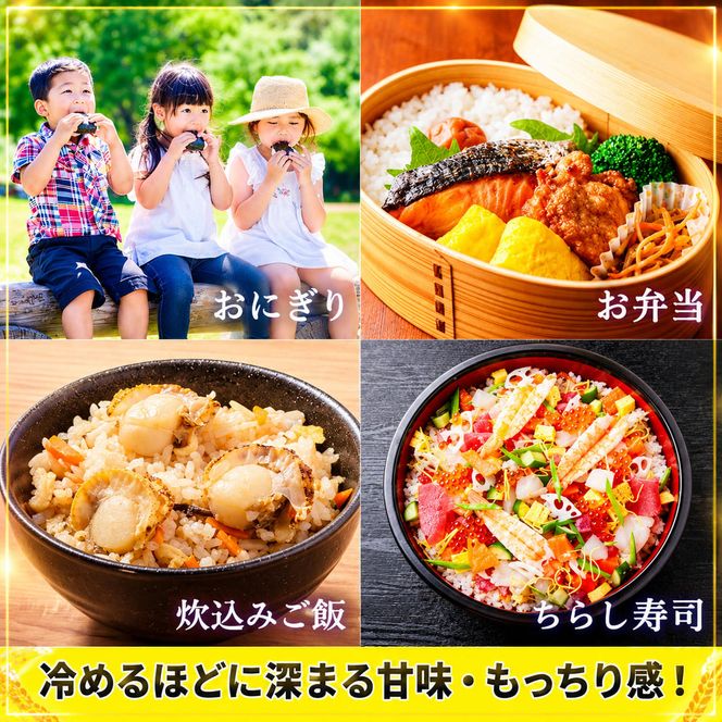 令和8年産 新米 キヌヒカリ 5kg (精米) 明田のお米 精米 お米 新米 南丹市 京都 新米26