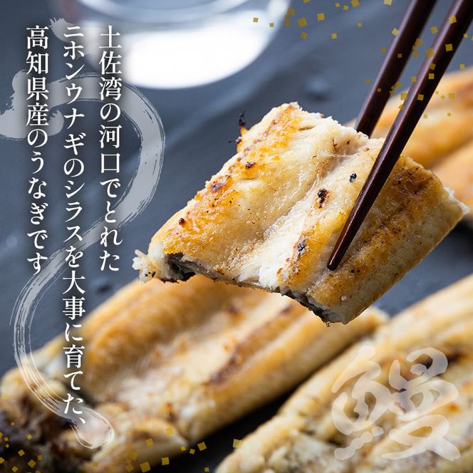 うなぎ白焼 4尾 高知県産うなぎの白焼き 150～180ｇ×4尾 早い スピード発送 7日程度 早く届く スピード配送 エコ包装 国産 うなぎ 白焼き 鰻 冷凍 高知 yw-0116