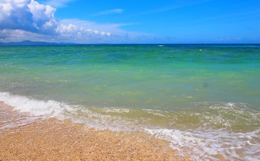 レキオパワー【沖縄県産】除菌スプレー（100ml×5本）
