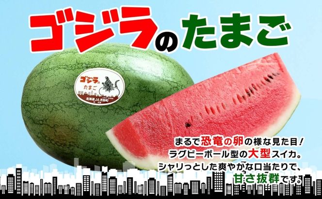 北海道 大玉 スイカ ゴジラのたまご 1玉 約8kg 2026年7月初旬より順次出荷 すいか 西瓜 果物 フルーツ 旬 希少 貴重 甘い ユニーク 国産 産地直送 ギフト お祝い 贈答品 贈り物 お取り寄せ エーコープつきがた