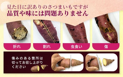 【訳あり】生芋10kg　SSサイズ～2Lサイズ（サイズバラ）　※離島への配送不可