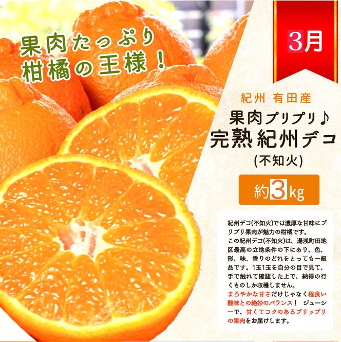 【発送月固定定期便】紀州和歌山産旬のフルーツセット(いちご2P・ポンカン・紀州デコ約3kg)全3回 【tkb451】