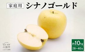 【2026年10月下旬～発送予定】 先行予約 訳あり りんご シナノゴールド 約10kg 28～40玉入 フルーツ 果物 甘い 訳あり 林檎 リンゴ