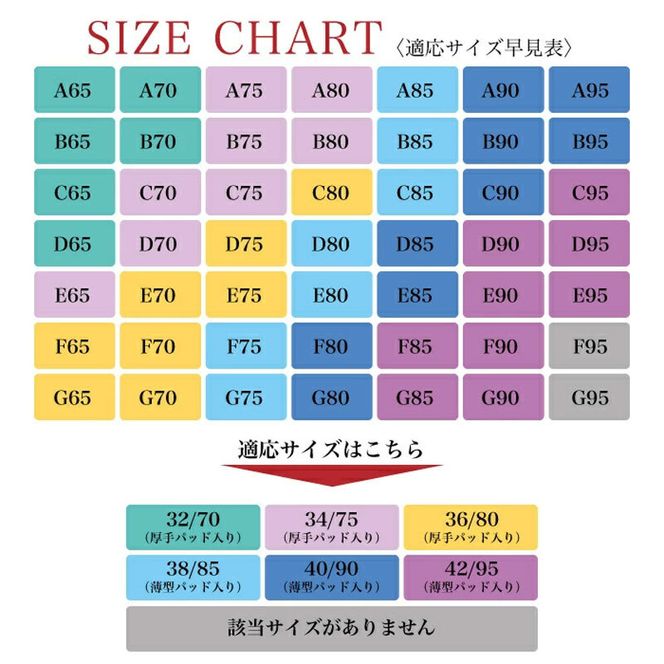 ノンワイヤー育乳ブラ［173N45］育乳 ノンワイヤー ブラ ブラジャー 1枚 選べる カラー ブラック ベージュ カフェラテ ネイビー ワインレッド サイズ シースルー 補正 下着 女性 レディース バスト 補整 おしゃれ 可愛い NOD
