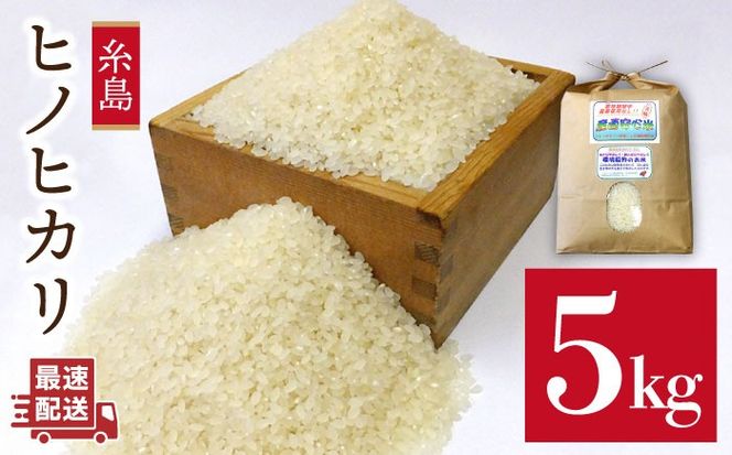  農薬 使わない 栽培 ！ 糸島産 ヒノヒカリ 5kg、 玄米食 ・ 分搗き 対応！ 糸島 / 二丈赤米産直センター [ABB005] 米 ひのひかり 無洗米
