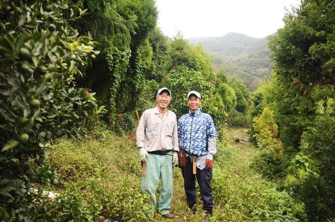 【栽培期間中農薬不使用】【先行受付】【数量限定】農園直送！愛媛県産不知火 10kg （2026年1月上旬頃より順次発送） IKTG008