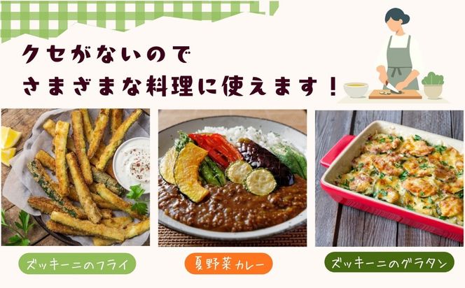 朝採り!! 新鮮ズッキーニ 約6～8本 《生産者直送》岸田農園 (Cd-001)