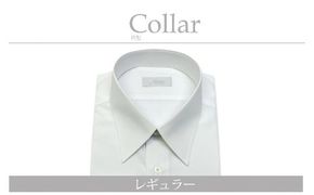 ケアも簡単！安心して着れる綿ポリ混紡メンズ用ドレスシャツ「Lサイズ」衿型レギュラー 1080015