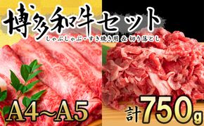 博多和牛 A4～A5 しゃぶしゃぶ すき焼き 750g セット（スライス 250g・切り落とし 500g）配送不可：離島 