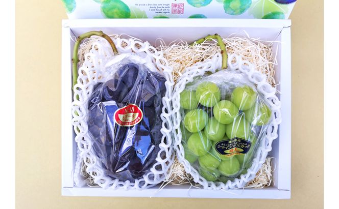 2026年 早期受付 ぶどう 晴れの国 シャインマスカット&ピオーネ 味比べ 2房（大房） 化粧箱入り 岡山県 高梁市 ブドウ 葡萄 果物 フルーツ 