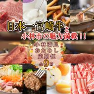 【定期便・全9回】日本一宮崎牛と小林市の魅力満載!!! 小林満足おためし定期便 10万円コース（国産 牛肉 国産牛 和牛 黒毛和牛 すき焼き フルーツ お菓子 豚肉 鶏肉 スイーツ 定期便）
