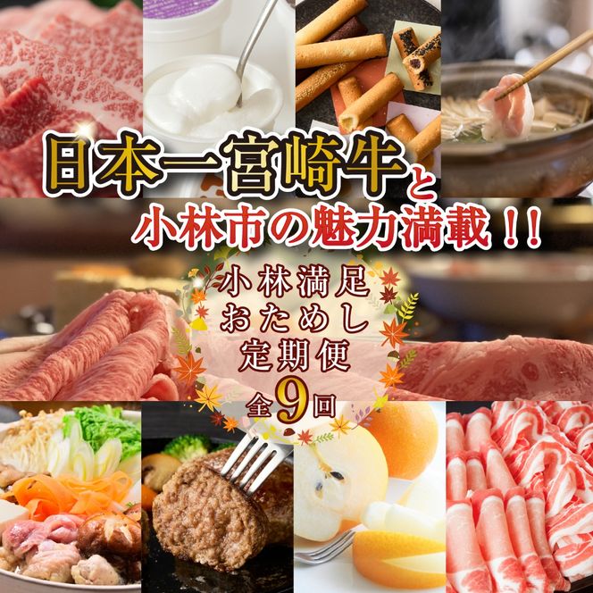 y{茧юszyցES9z{{苍Əюs̖͖!!! і߂ 10~R[XiY  Y a јa Ă t[c َq ؓ { XC[c ցj