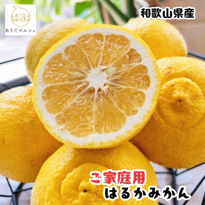 【人気柑橘】有田育ちの はるか みかん（訳あり 家庭用）7.5kg+200g(傷み補償分)