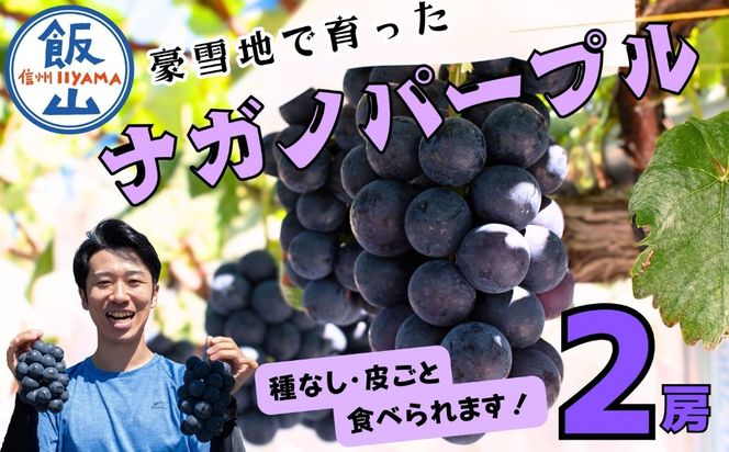 【先行予約】 ナガノパープル 2房  （約1kg） 《 2026年10月〜発送 》 （Bv-001）