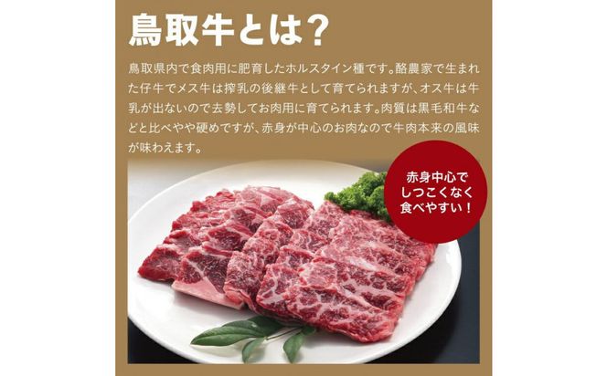 鳥取牛サンカクバラ焼肉用 600g（冷凍） 312011_CA005