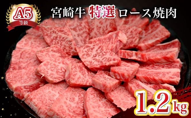 【新鮮チルド発送!!】A5等級宮崎牛特選ロース焼肉 1.2kg（黒毛和牛 牛肉 宮崎牛 ロース 霜降り 赤身 焼肉用 宮崎県）