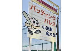 バッティングパレス 3000円分チケット 142069_JL001