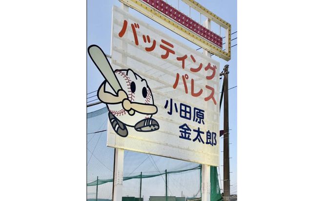 バッティングパレス 3000円分チケット 142069_JL001