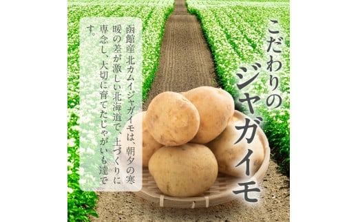 函館産北カムイジャガイモ「感動の和風ビシソワーズ」_HD041-001